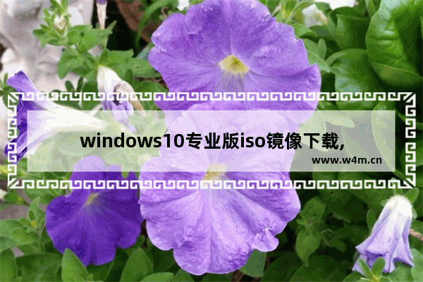 windows10专业版iso镜像下载,win10原版系统iso镜像下载_1