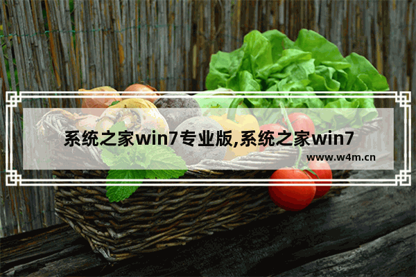 系统之家win7专业版,系统之家win7纯净版系统下载