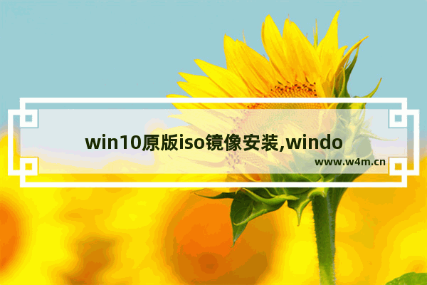 win10原版iso镜像安装,windows10原版iso镜像下载