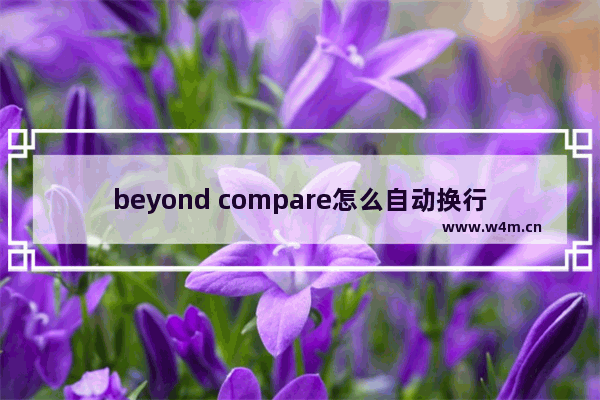 beyond compare怎么自动换行,beyond compare设置编码