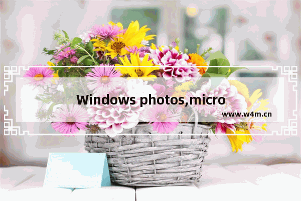 Windows photos,microsoft.windows.photos是什么