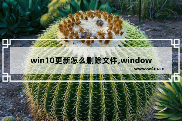 win10更新怎么删除文件,windows10更新怎么删除文件