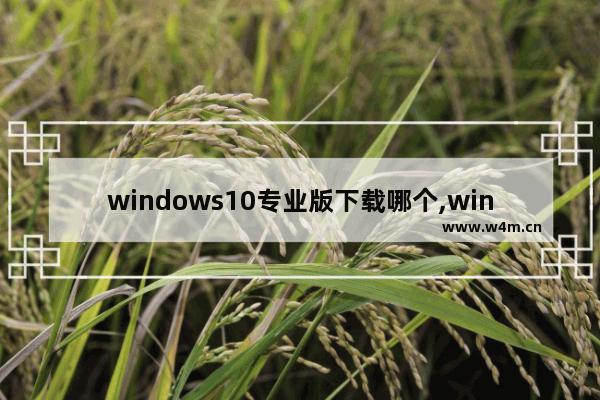 windows10专业版下载哪个,win10专业版免费下载