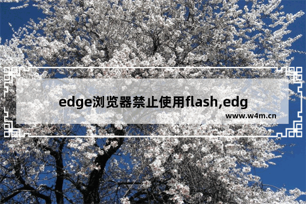 edge浏览器禁止使用flash,edge浏览器如何始终允许flash_1