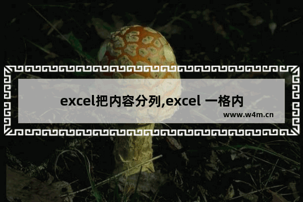 excel把内容分列,excel 一格内分列