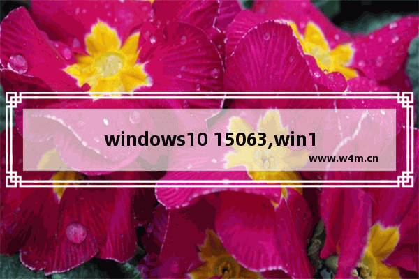 windows10 15063,win10 18363.1556