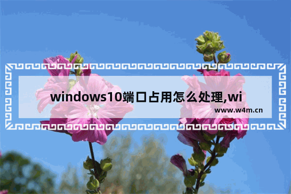 windows10端口占用怎么处理,win10如何解除80端口占用