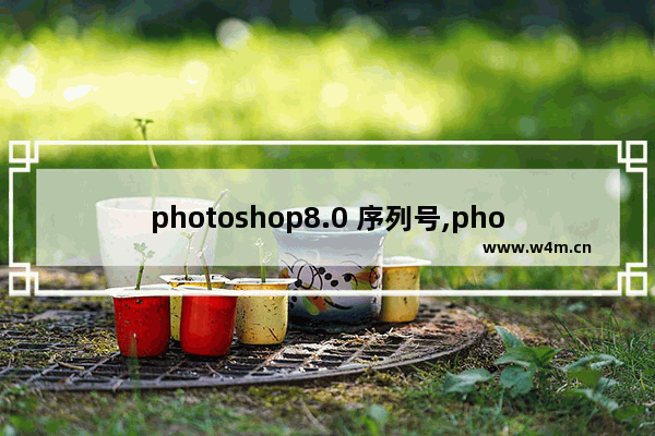 photoshop8.0 序列号,photoshop8.01序列号