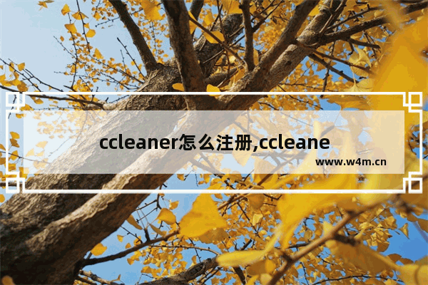 ccleaner怎么注册,ccleaner联网激活码