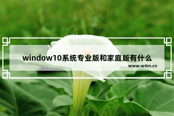 window10系统专业版和家庭版有什么区别,win 10系统家庭版和专业版有什么区别