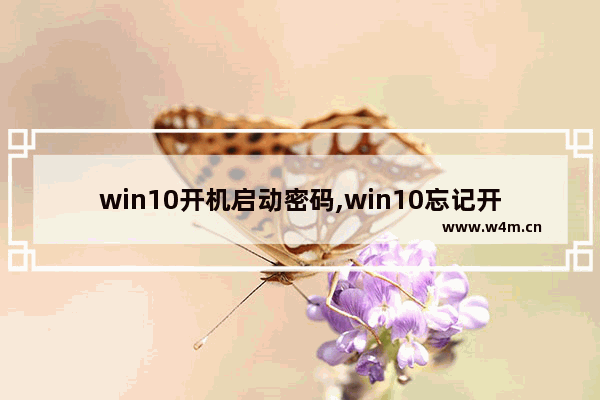 win10开机启动密码,win10忘记开机密码怎么办简单方法 命令行进入