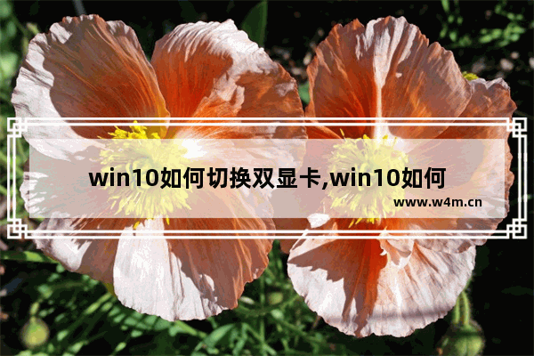 win10如何切换双显卡,win10如何切换到独立显卡