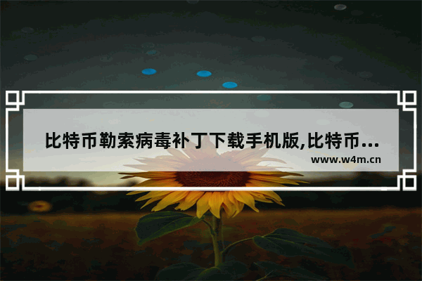 比特币勒索病毒补丁下载手机版,比特币勒索病毒解决