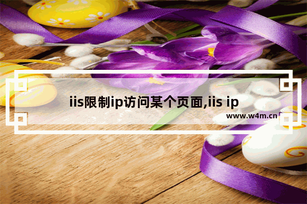 iis限制ip访问某个页面,iis ip限制