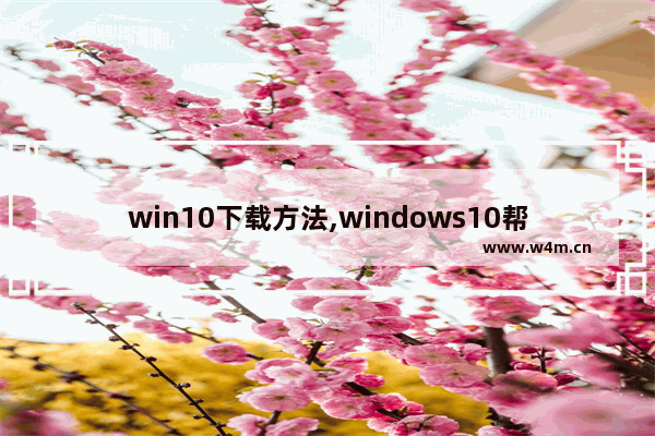 win10下载方法,windows10帮助