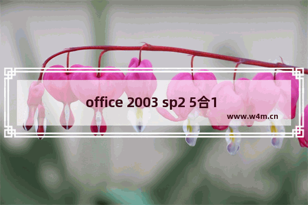 office 2003 sp2 5合1 精简版,office2013三合一精简版