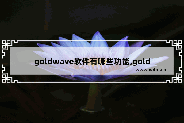 goldwave软件有哪些功能,goldwave手机版教程