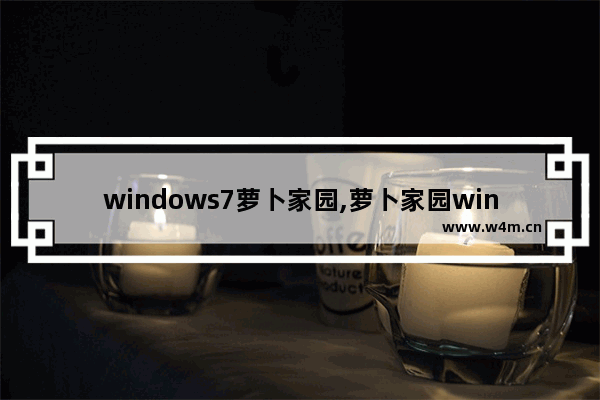 windows7萝卜家园,萝卜家园win7系统安装