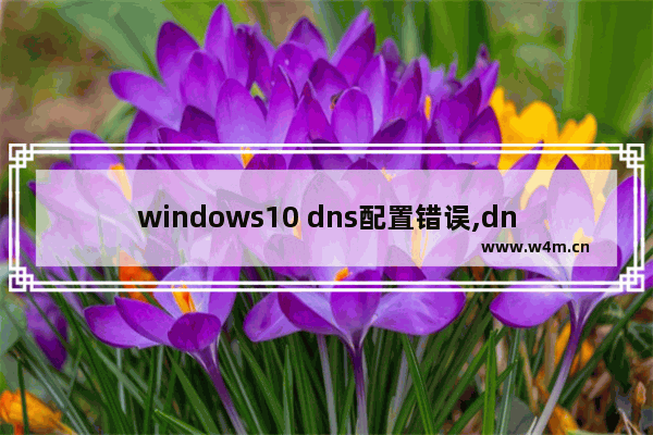 windows10 dns配置错误,dns设置异常如何解决win10