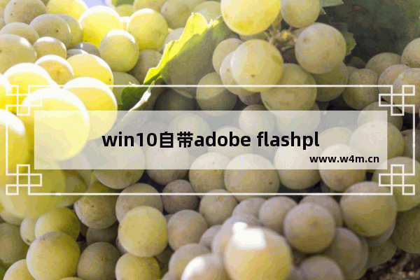 win10自带adobe flashplayer,windows10安装flash player