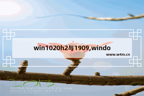 win1020h2与1909,windows10 1909升级20h2