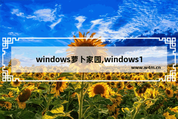 windows萝卜家园,windows10专业版32位