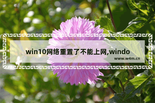 win10网络重置了不能上网,window10重置网络后连不上网