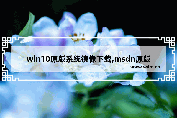 win10原版系统镜像下载,msdn原版镜像win10