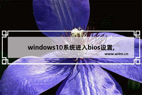 windows10系统进入bios设置,win 11 bios