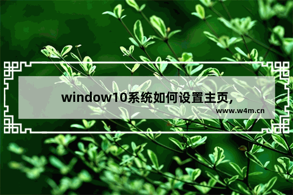 window10系统如何设置主页,