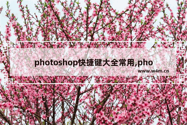 photoshop快捷键大全常用,photoshop的快捷键大全