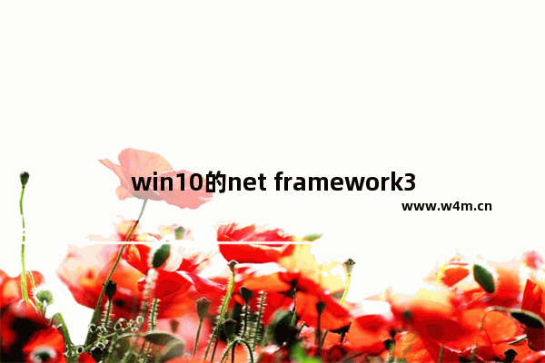 win10的net framework3.5,net framework以下版本v4.0.30319