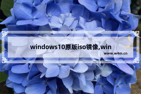 windows10原版iso镜像,win101909镜像