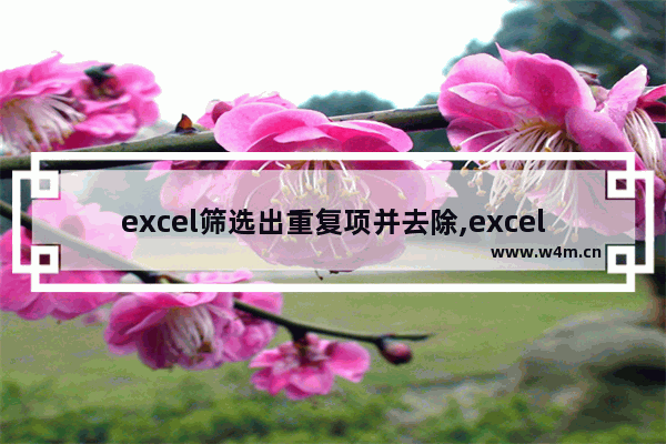 excel筛选出重复项并去除,excel中如何筛选出重复数据并删除重复项