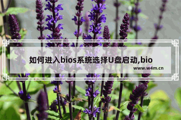 如何进入bios系统选择U盘启动,bios中设置u盘启动的几种方法