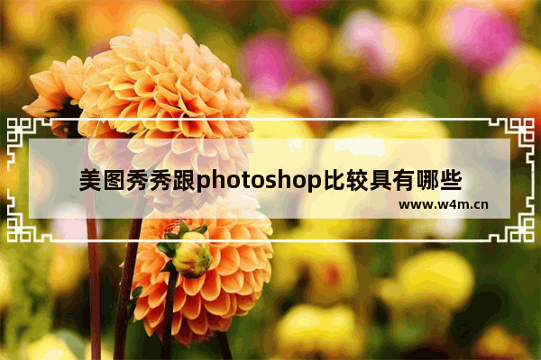 美图秀秀跟photoshop比较具有哪些优点,photoshop是美图秀秀吗