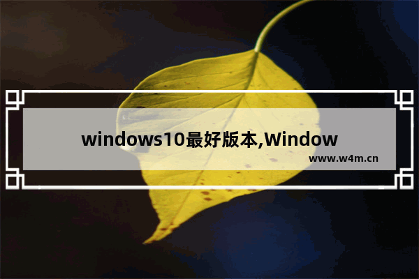 windows10最好版本,Windows10哪个版本最稳定