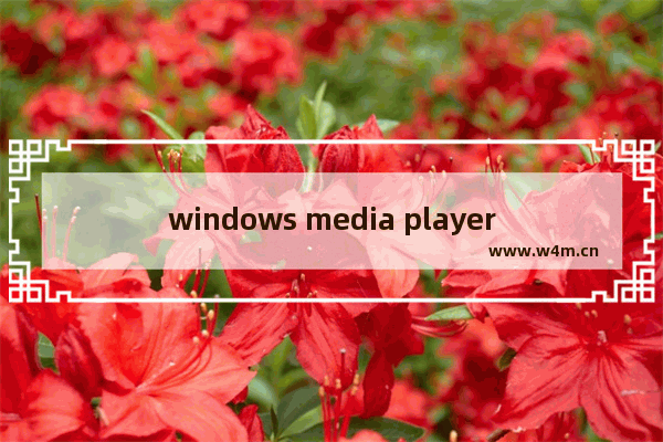 windows media player用不了怎么办,电脑media player无法播放