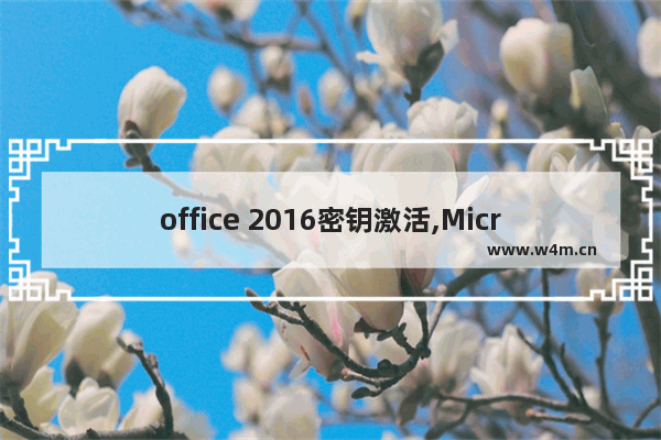 office 2016密钥激活,Microsoft office2016激活密钥