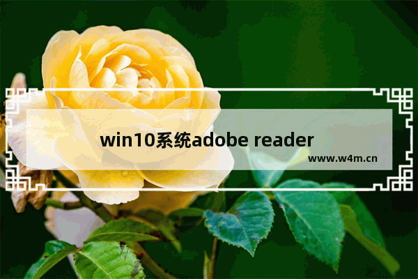 win10系统adobe reader xi闪退,adobe reader报错