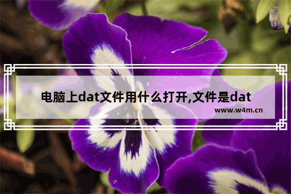 电脑上dat文件用什么打开,文件是dat怎么打开