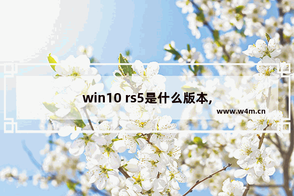 win10 rs5是什么版本,