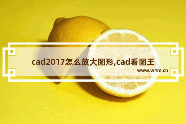 cad2017怎么放大图形,cad看图王怎么缩放图纸大小