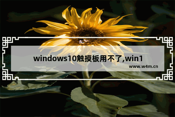 windows10触摸板用不了,win10笔记本触摸板没反应触摸板被禁用