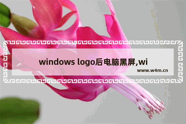 windows logo后电脑黑屏,windows10开机logo后黑屏