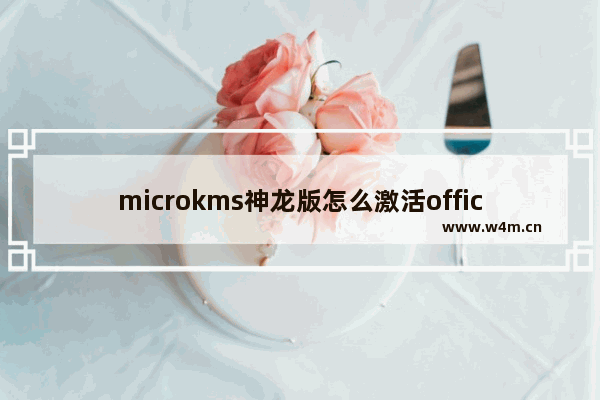 microkms神龙版怎么激活office2019,micro神龙版激活Office失败