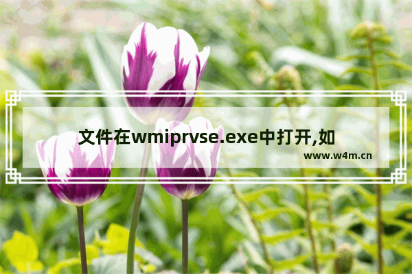 文件在wmiprvse.exe中打开,如何关闭,wmiprvse.exe应用程序错误