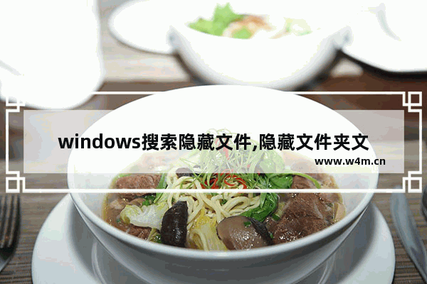 windows搜索隐藏文件,隐藏文件夹文件不被搜索