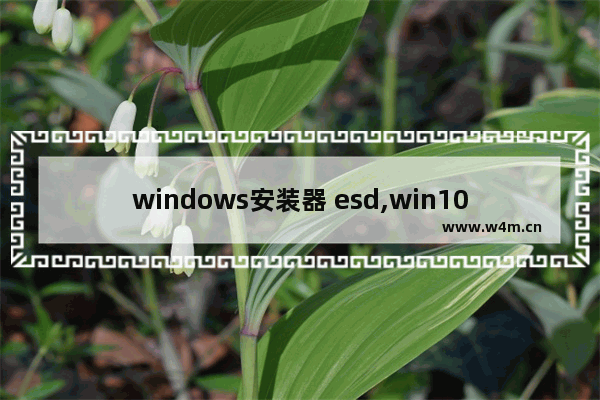 windows安装器 esd,win10系统esd格式怎么装系统