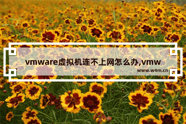 vmware虚拟机连不上网怎么办,vmware导致无法上网